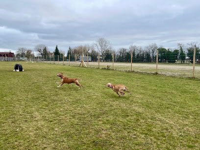Bound Around Oxford — secure dog field in Oxford