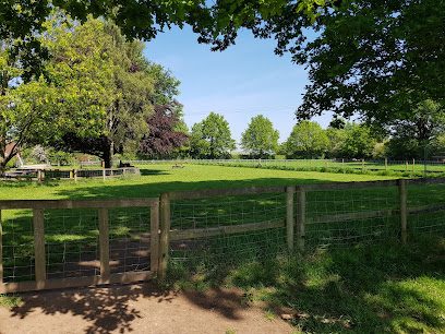 Hampton Hill Hounds — secure dog field in Solihull