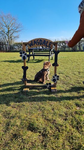 Wagdale Ltd — secure dog field in Norwich