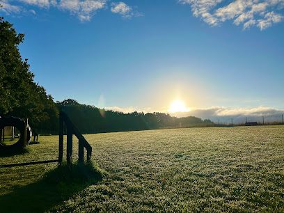 Goyt Hall Dog Paddock — secure dog field in Stockport