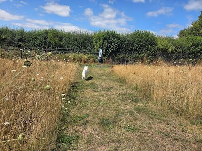 Tillington Fields — secure dog field in Hereford
