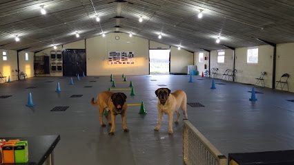 Norbreck Canine Centre — secure dog field in Choppington
