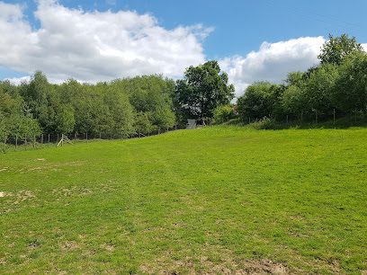 All Things Dog Secure Fun Fields — secure dog field in Etchingham
