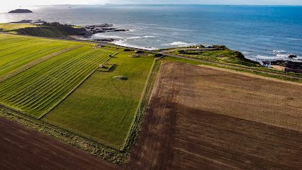 Seek Dog Park — secure dog field in North Berwick