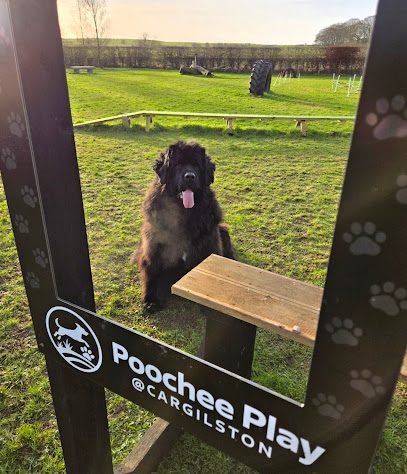 Poochee Play @ Cargilston — secure dog field in Cargilston