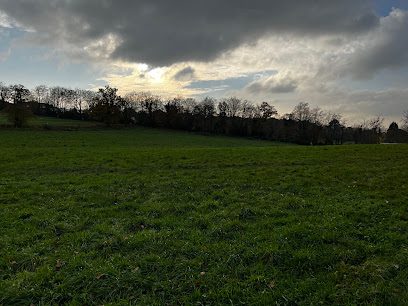 Walkies Secure Field — secure enclosed dog field in Crawley, West Sussex