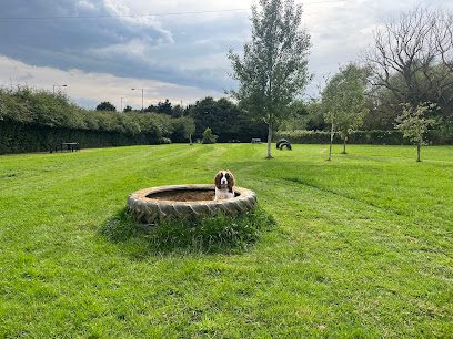 Golden Paws Ranch Fully Enclosed Dog Park — secure dog field in York