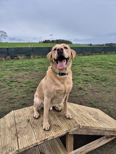 Run Free Dog Fields - Winchburgh — secure dog field in Broxburn