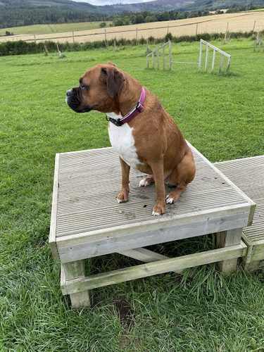 Inca's Trail Enclosed Dog Park — secure dog field in Westhill