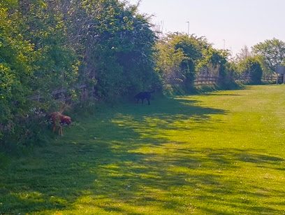Parkhill Canine Paddock — secure dog field in Parkhill