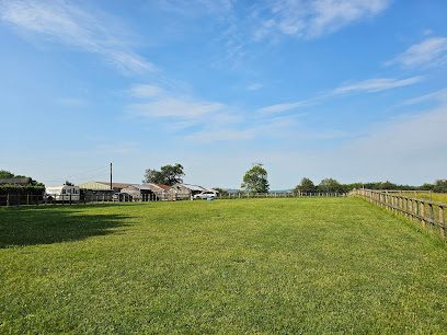 Meadow View Mutts Secure Dog Field — secure dog field in Halesowen