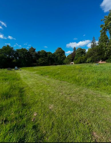 Walled Garden Pet Adventures — secure dog field in Cornhill-on-Tweed