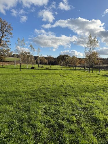 DoggiePen4U — secure enclosed dog field in Haywards Heath, West Sussex