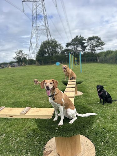 The Pooch Park - Dog Field — secure dog field in Preston