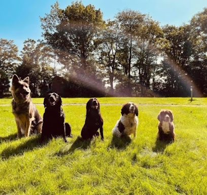 Lytham Dog Fields — secure dog field in Lytham Saint Annes