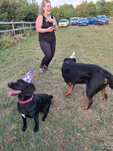 The Paddock — secure dog field in Chelmsford