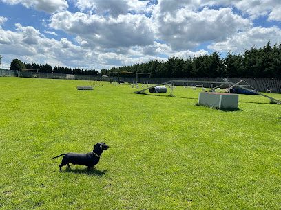 K9 Academy Peterborough | Dog Field | Dog Agility Park | Secure Facility — secure dog field in Peterborough