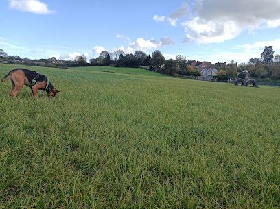 Explore by Paw — secure dog field in Llanmartin