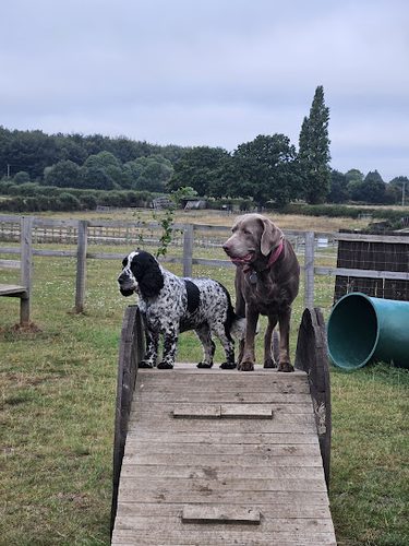 Mutts Go Nutts — secure dog field in Newark