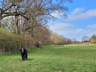 Ashbourne Carefree Canine Exercise Field — secure dog field in Ashbourne