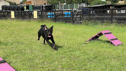 Runaway dog park and agility — secure dog field in Wakefield