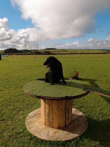 Moorgate Dog Training Field — secure dog field in Camelford