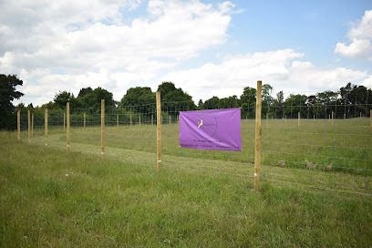 Dogzmania — secure dog field in Iver
