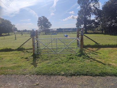 Doggy Dreamland Ltd — secure dog field in Paradise