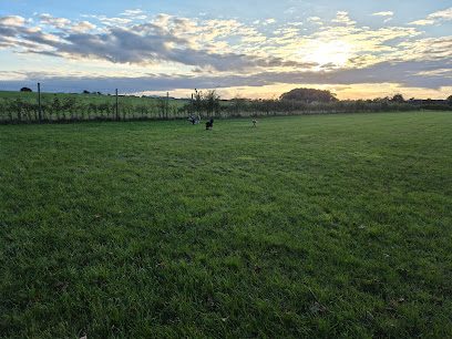 Tockwith Dog Fields — secure dog field in York