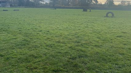 Jump & Go Dog Parks . Splash & Go Indoor Swimming Pool For Dogs. — secure dog field in Templecombe