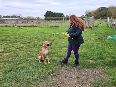 k9 park and play — secure dog field in Baldock