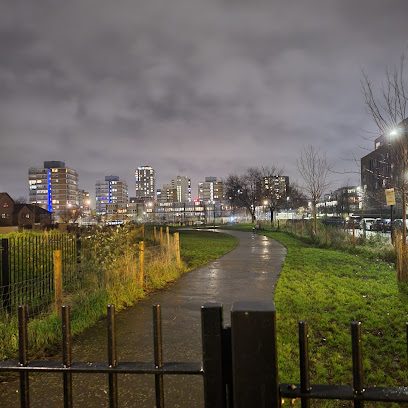 Bartlett Dog Park — secure dog field in London