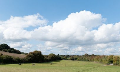 Ewelme Dog Field — secure dog field in Wallingford