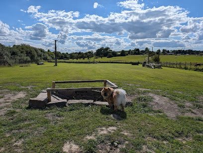 Exclusive Acres Dog Park — secure dog field in Bolton