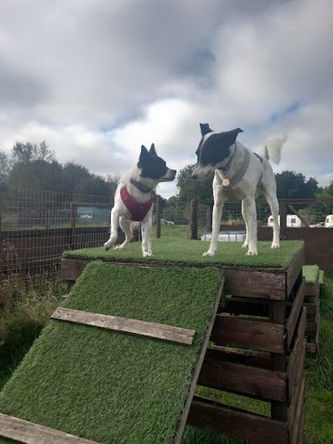 PAWSOME PARK — secure dog field in Stanley