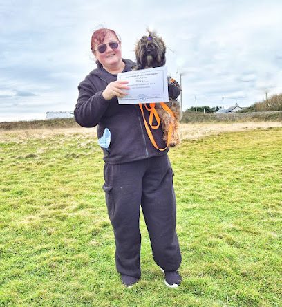 Paws & Co. Canine Academy Dog Trainer and Behaviourist — secure dog field in Ty Croes