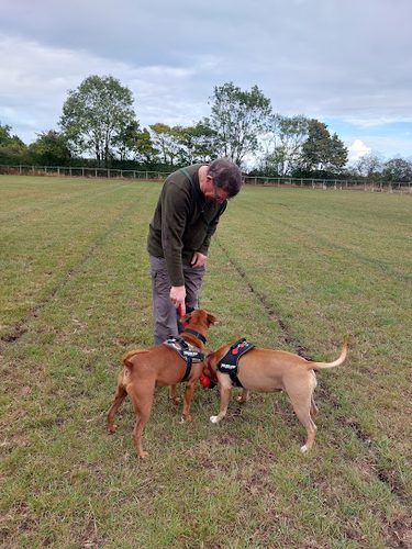 Run Free Redisham (Dog Walking Field - Pre-Book Only) — secure dog field in Beccles