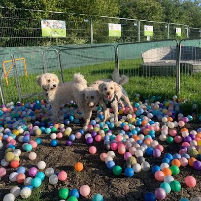 Walkies at wrangle — secure dog field in Boston