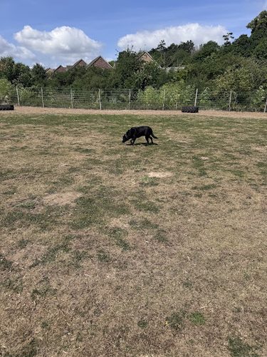 Allseasons Paw Park Newmarket — secure dog field in Newmarket