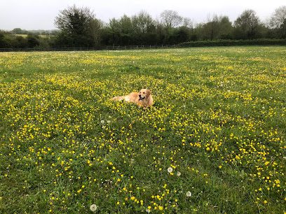Purton Dog Walking Field — secure dog field in Swindon