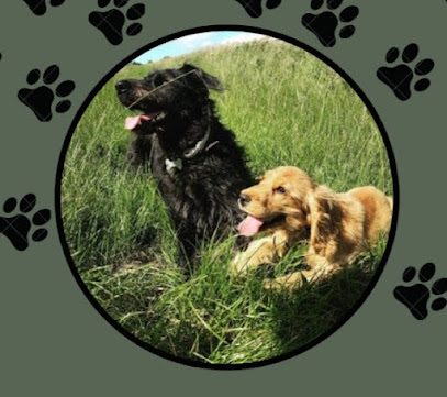 FIELDTASTIC and BARNTASTIC private dog exercise field and indoor barn — secure dog field in Salisbury