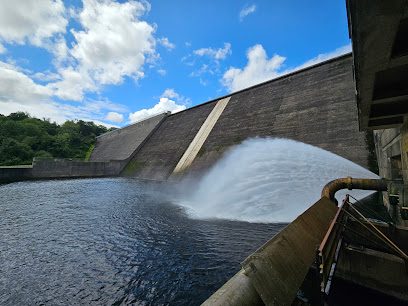Llys y Frân Country Park & Reservoir — secure dog field in Llys y Frân