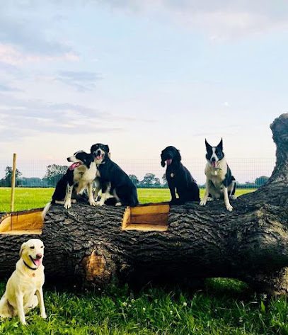 My Dog Run Stewkley — secure dog field in Leighton Buzzard