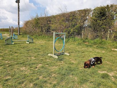 Horlands Farm — secure dog field in Tonbridge