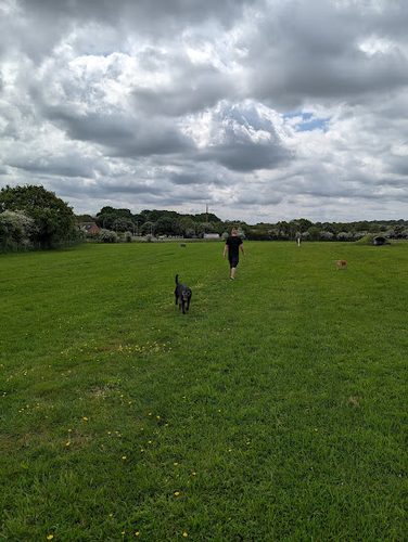Manor Secure Dog Walking Field — secure dog field in Beverley