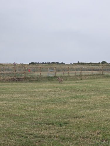 Soham Dog Park — secure dog field in ELY