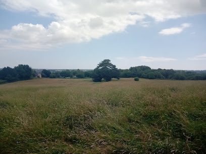 The Barn Dog Field — secure dog field in Canterbury
