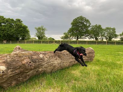 Woof World — secure dog field in Reading