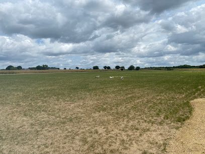 Paw Paddock - Upham — secure dog field in Southampton