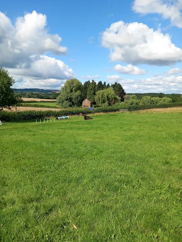 Happy Paws Outdoors — secure dog field in Ledbury